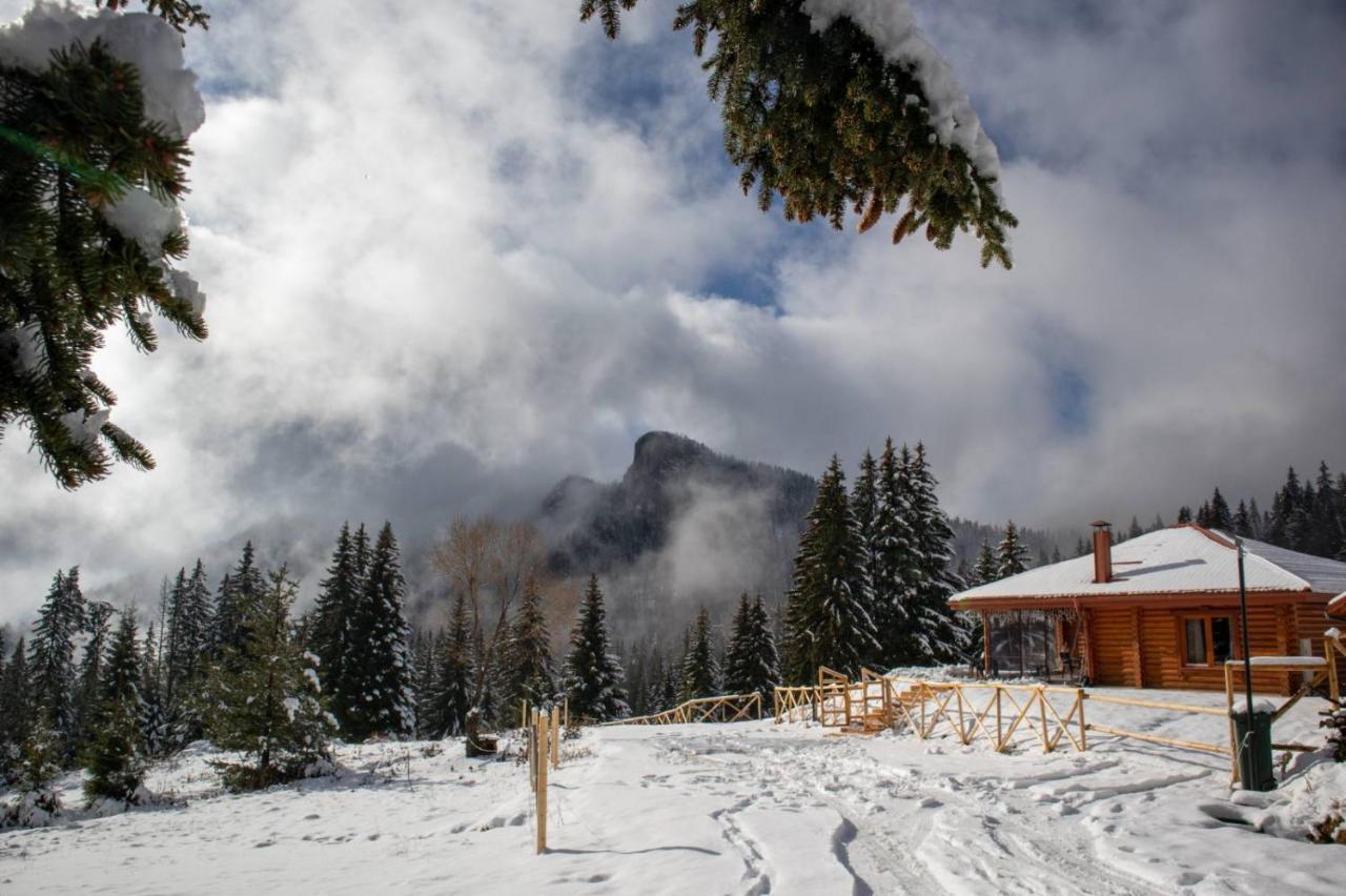 Вила Морава Pamporovo Exterior foto