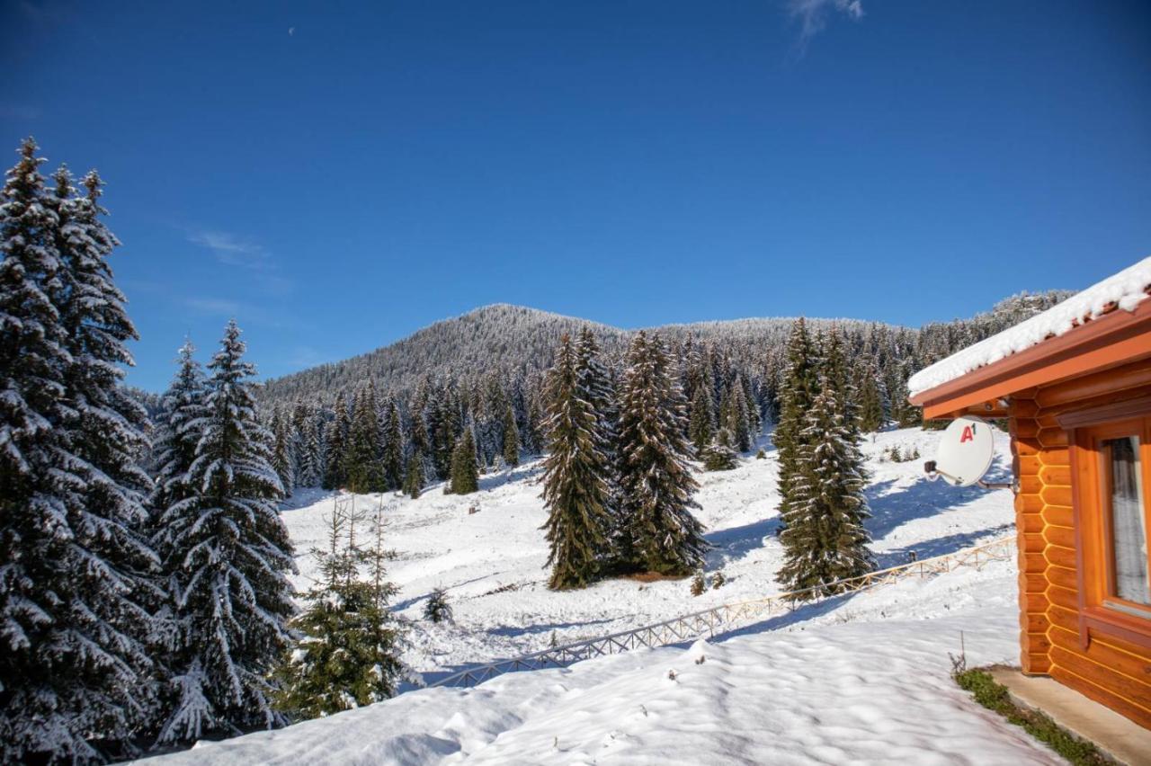 Вила Морава Pamporovo Exterior foto